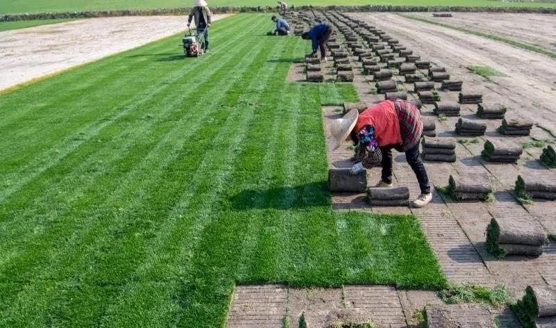 /ueditor/image/2020/04/13/a2f6ba56f4c8e14370ea78631bd874e4.jpg 微信图片_20200413173926.jpg