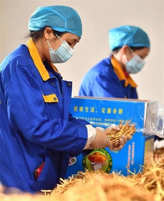 /ueditor/image/2020/04/13/ad6af877bd50dbb6a85a08aad53b5365.jpg 微信图片_20200413173919.jpg