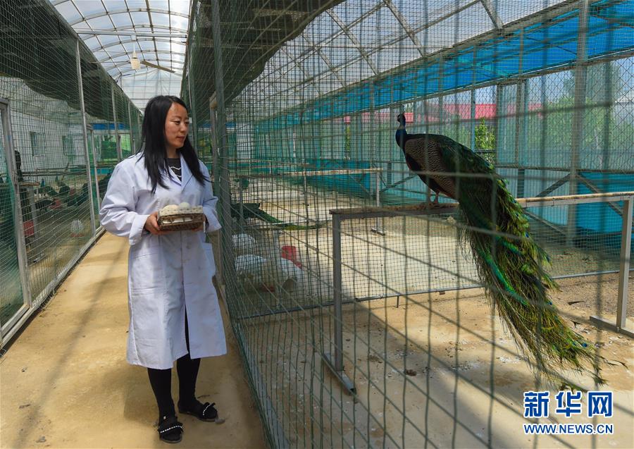 /ueditor/image/2020/04/21/04e61f30675d4ba4f71a1409fec6a292.jpg 7489a3b3-bd02-4ad4-92eb-618a78c75384.jpg