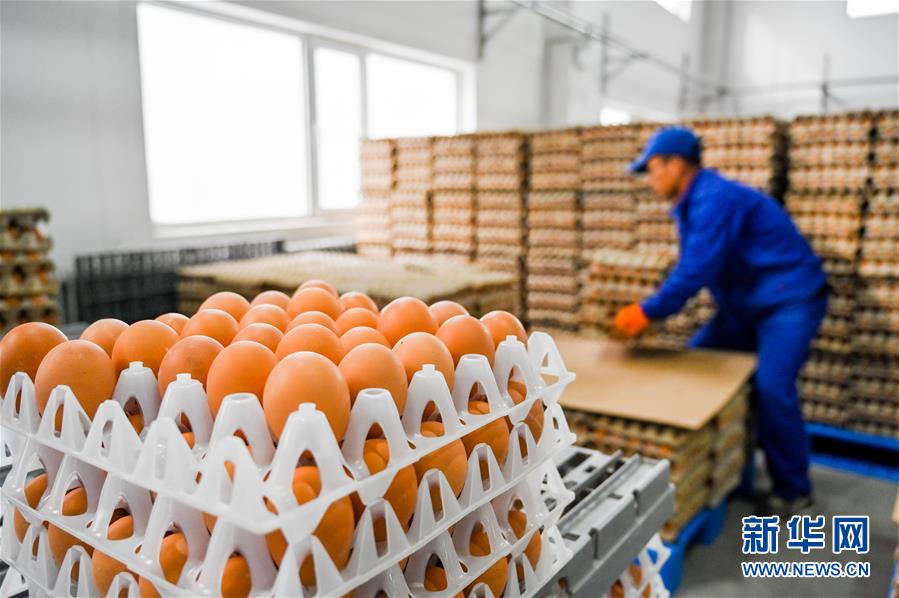 /ueditor/image/2020/04/21/690a129391dfe613bd0bfc05e6461c4d.jpg d0264efe-21a1-424c-932e-89e48dc26c8b.jpg