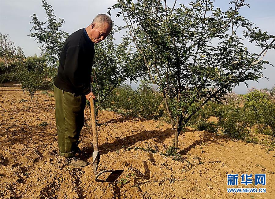 /ueditor/image/2020/04/23/367f83e5294e5d3cb588a72a527df216.jpg 1125882516_15874002410811n.jpg