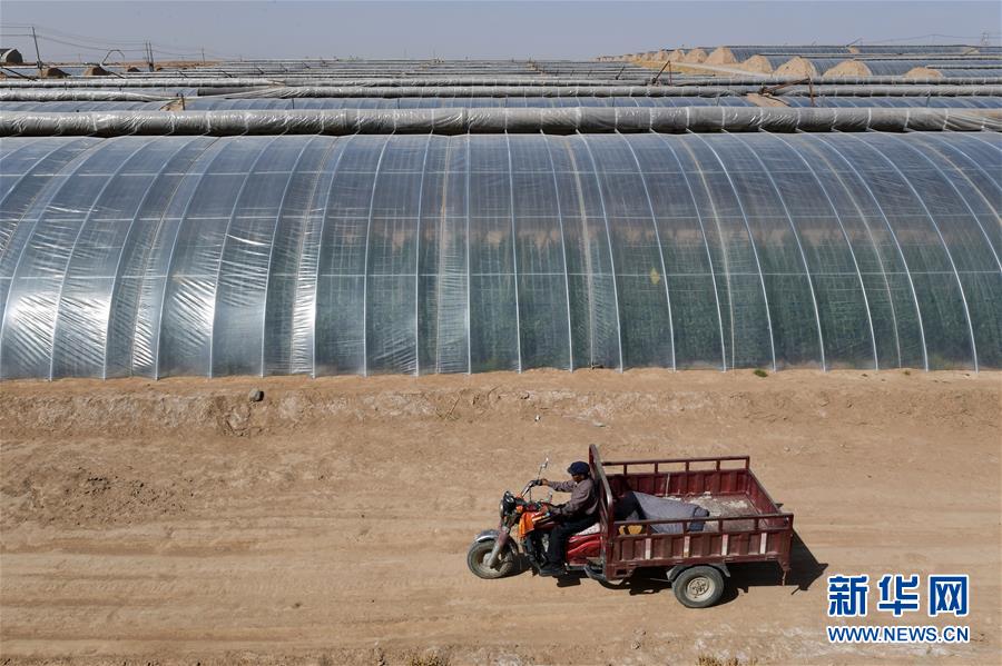 /ueditor/image/2020/04/23/4007f9c65cceae2c451348e263ea93ca.jpg 1125882516_15874005865971n.jpg