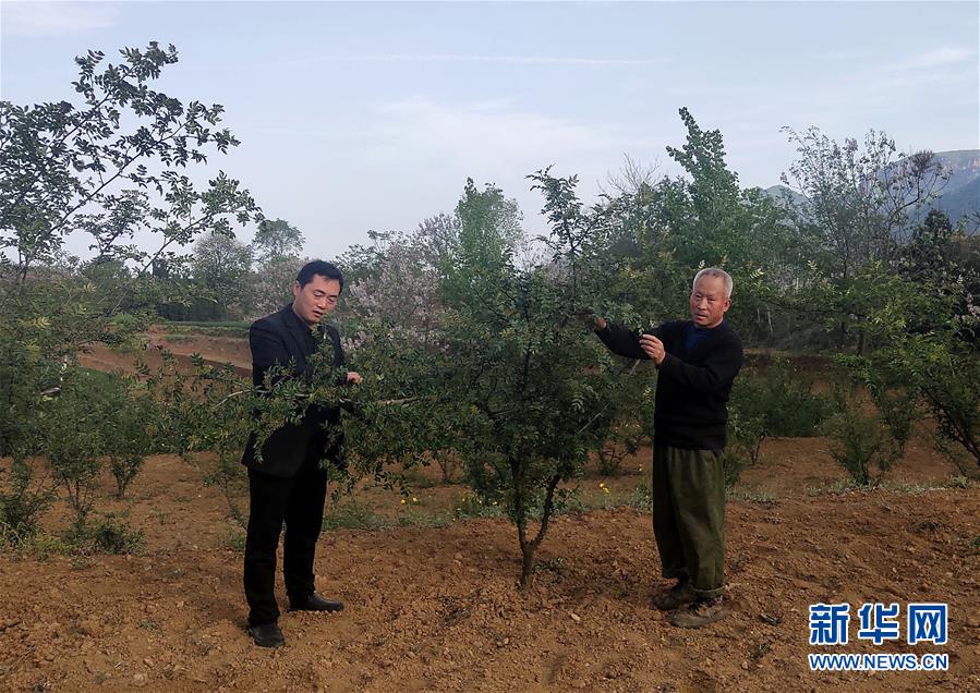 /ueditor/image/2020/04/23/5154286962518ae0ae2ea88e94e2a960.jpg 1125882516_15874002410861n.jpg