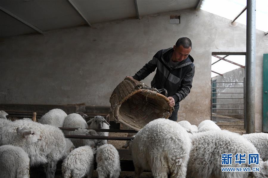 /ueditor/image/2020/04/23/9d4160787d9c5ac186af4e402aec2b16.jpg 1125882516_15874000328371n.jpg