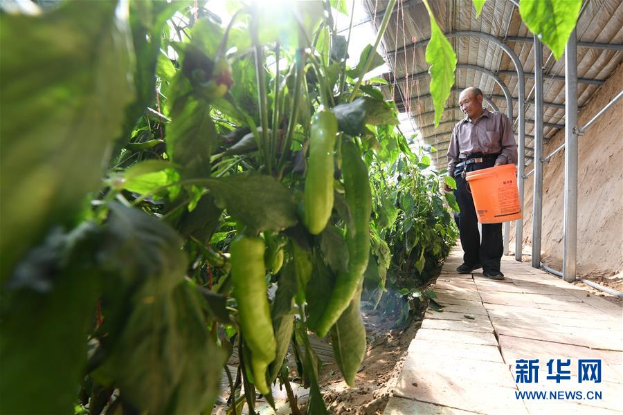 /ueditor/image/2020/04/23/b98387d7b1270cb7614c09d5a9f3b989.jpg 1125882516_15874005866001n.jpg