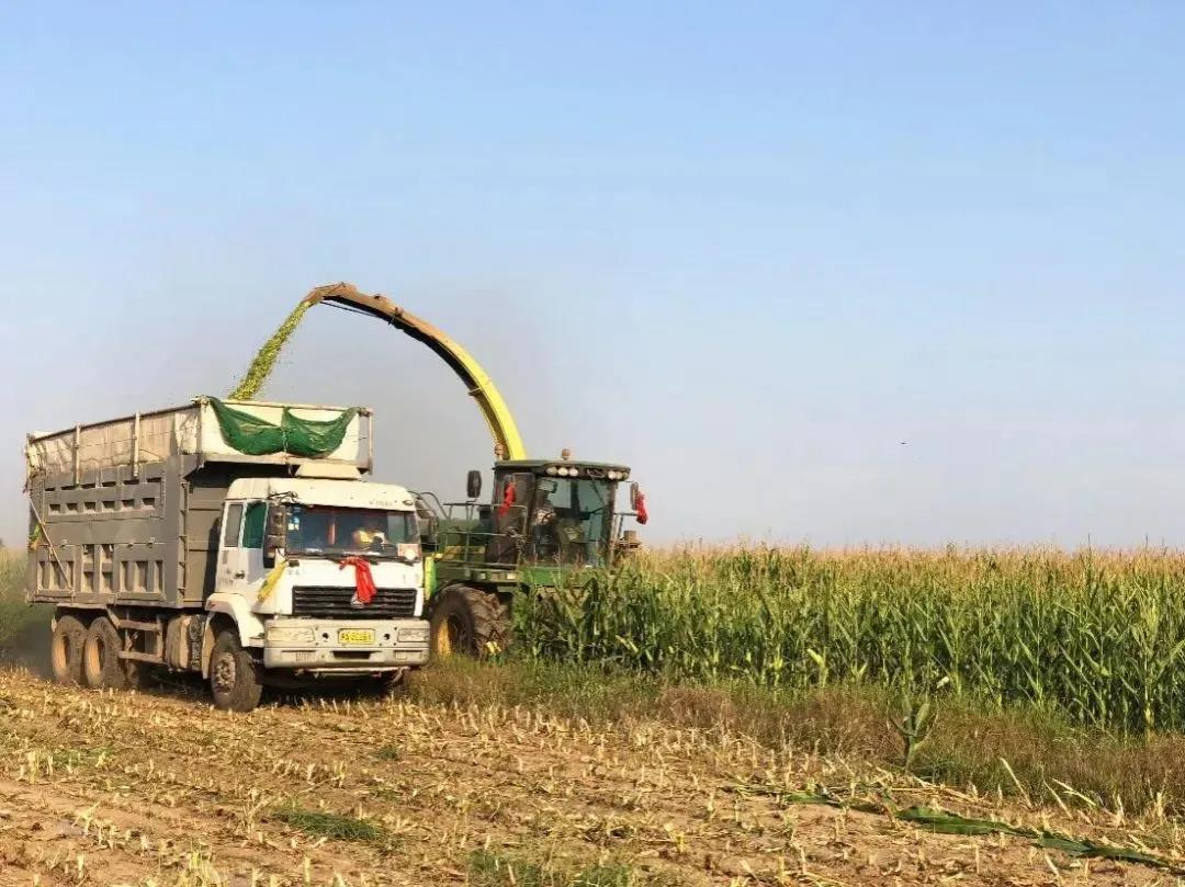 /ueditor/image/2020/11/23/5eab6363344417bee3ec3a46aecc247a.jpg 微信图片_20201123142900.jpg