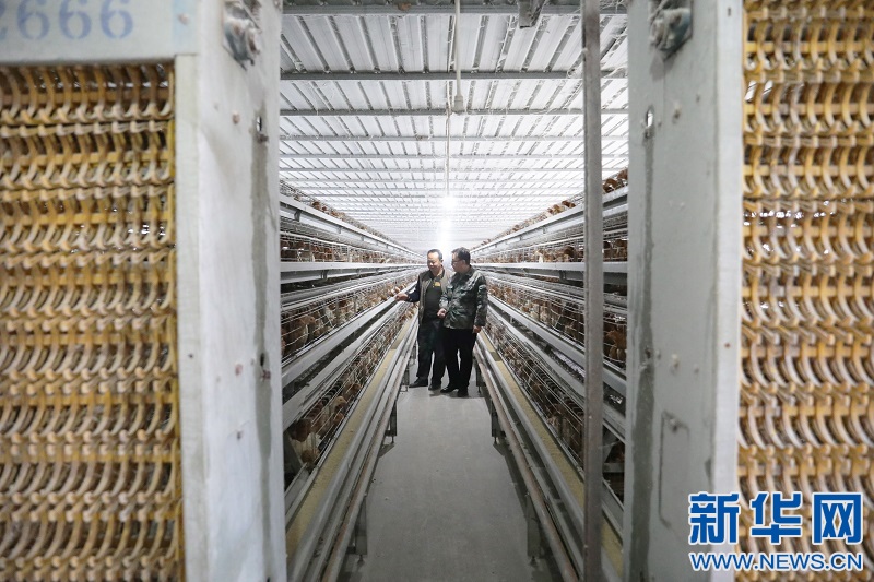 /ueditor/image/2021/01/14/28087d1e224900fdc0c9bf17945517d9.jpg 1126976542_16105000270671n.jpg