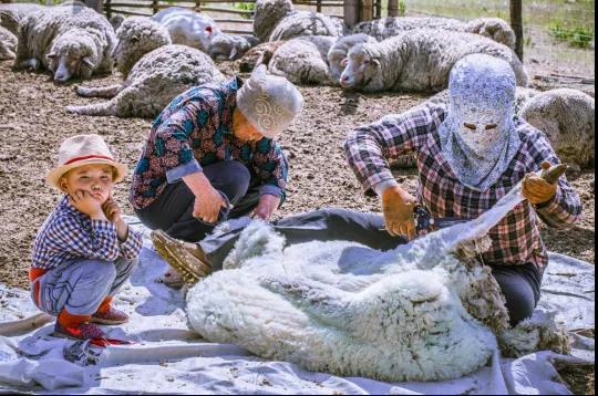 /ueditor/image/2021/07/28/6705b547ce038c9051e7cb92d71c52a8.jpg %E4%B8%804.jpg