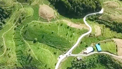 /ueditor/image/2021/08/05/017632ac28f1960fe4f30cf583af7f64.png 2021080409244931012.png