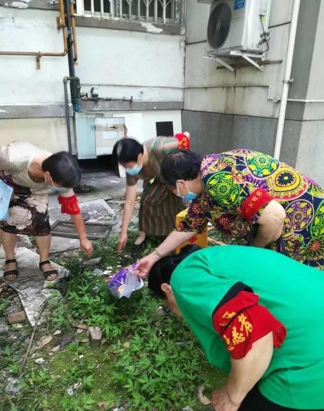 /ueditor/image/2022/08/26/1231a32ec94eef90988f9e927d0d3619.jpg 微信图片_20220826184731.jpg